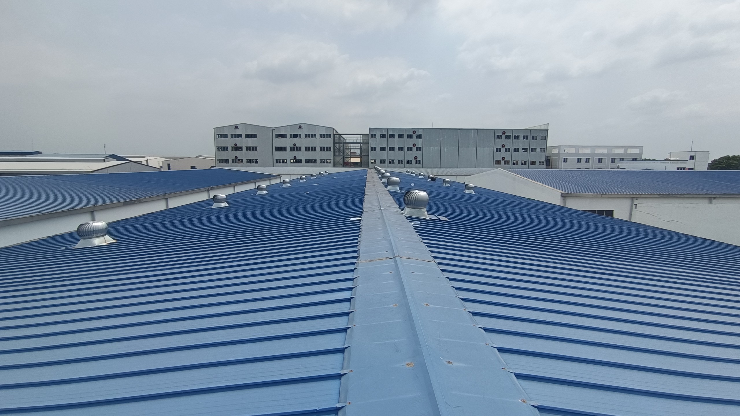 z5603254947340 17e7043b408999f6f97e0a1200cae774